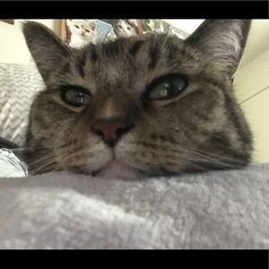 Meet your Posher, Krysta